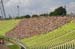 staduim_crowds