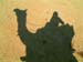 13_camel_shadow_jaisalmer_india