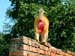 monkey_arse_rishikesh_india