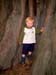 little_hobbit_christchurch_new_zealand