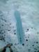 franz_josef_glacier_ice_new_zealand