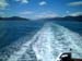 _picton_ferry_wake_new_zealand