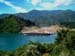 _picton_logging_new_zealand