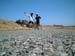 blenheim_pp_sylvi_tarmac_new_zealand