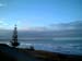 blenheim_tree_car_new_zealand