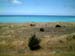 kaikoura_coast_new_zealand