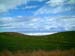 field_new_zealand