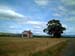 house_tree_new_zealand