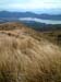 tussock_lake_tongariro_new_zealand