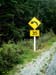 35KMH_new_zealand