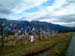 panty_fence_new_zealand