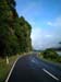 road_haast_valley_new_zealand