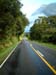 straight_road_haast_valley_new_zealand
